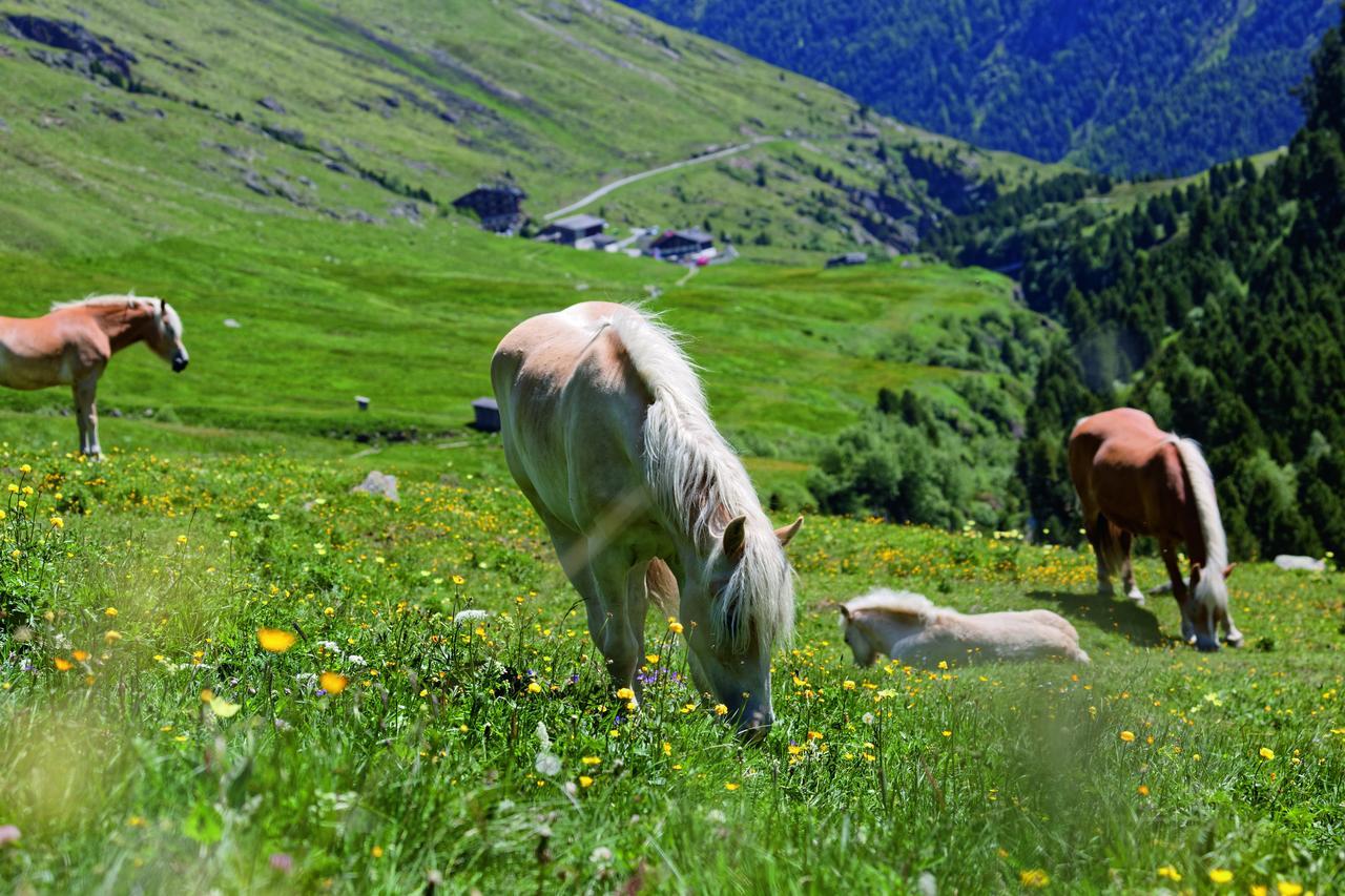 Gasthof Geierwallihof Vent Dış mekan fotoğraf